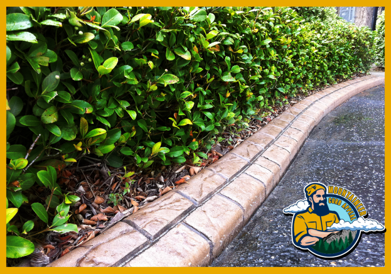 Mountaineer Curb Appeal - Custom Stamped Curbing - Paver